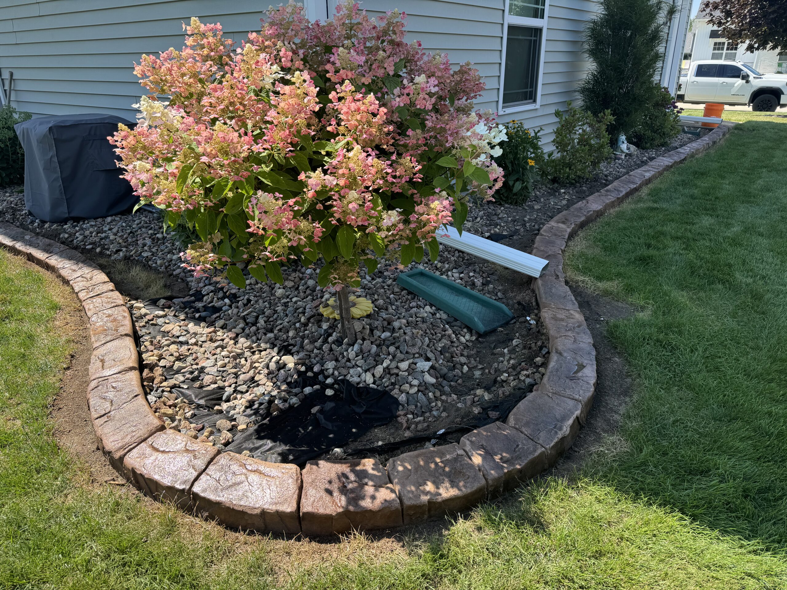 Startup costs and ROI