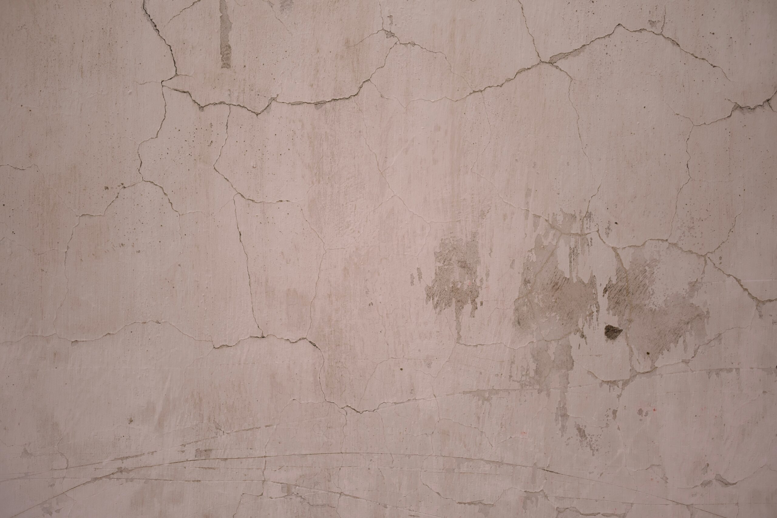 Startup costs and ROI