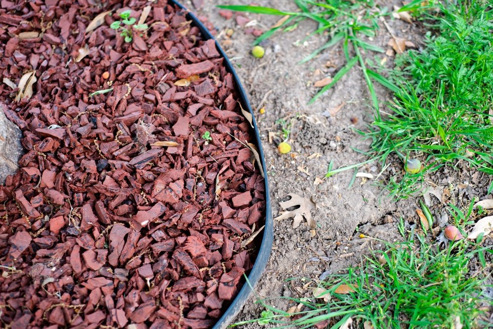 Startup costs and ROI